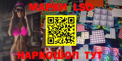 гашик Моздок