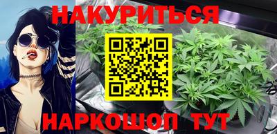 гашик Моздок