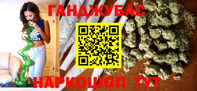гашик Моздок