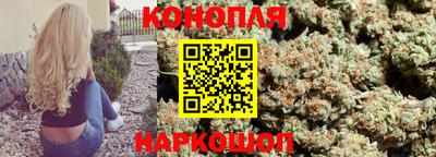 гашик Моздок
