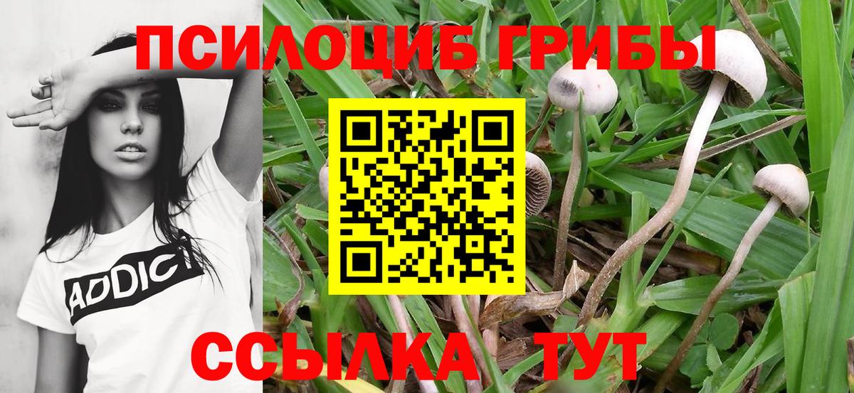 Псилоцибиновые грибы MAGIC MUSHROOMS Ялта