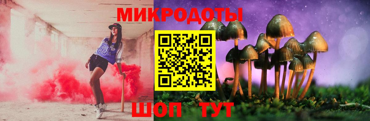 Галлюциногенные грибы Psilocybe  Вход с VPN  Галлюциногенные грибы мицелий  Ялта 